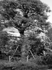 灯塔注册公司